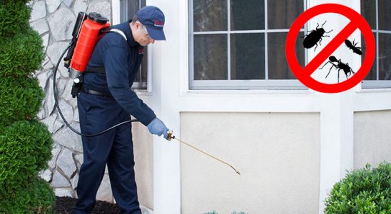 Doğançay Uçan Haşere İlaçlama böcek ilaçlama ve haşere kontrolü — ilaclama-tr.com